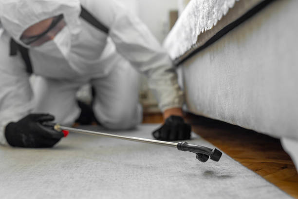 Professional Bed Bug Control technician working in Garland, TX