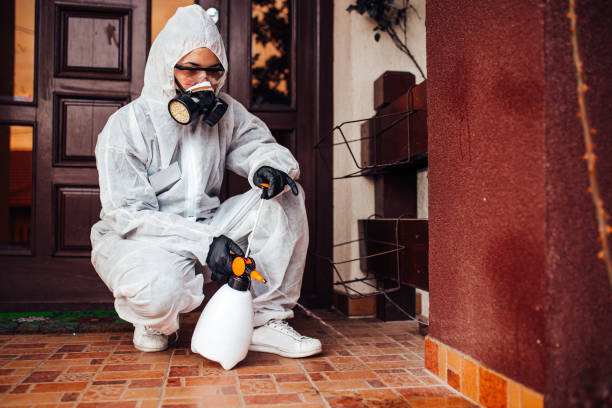 Reliable Bed Bug Control contractor in Garland, TX by Nex Pest Control